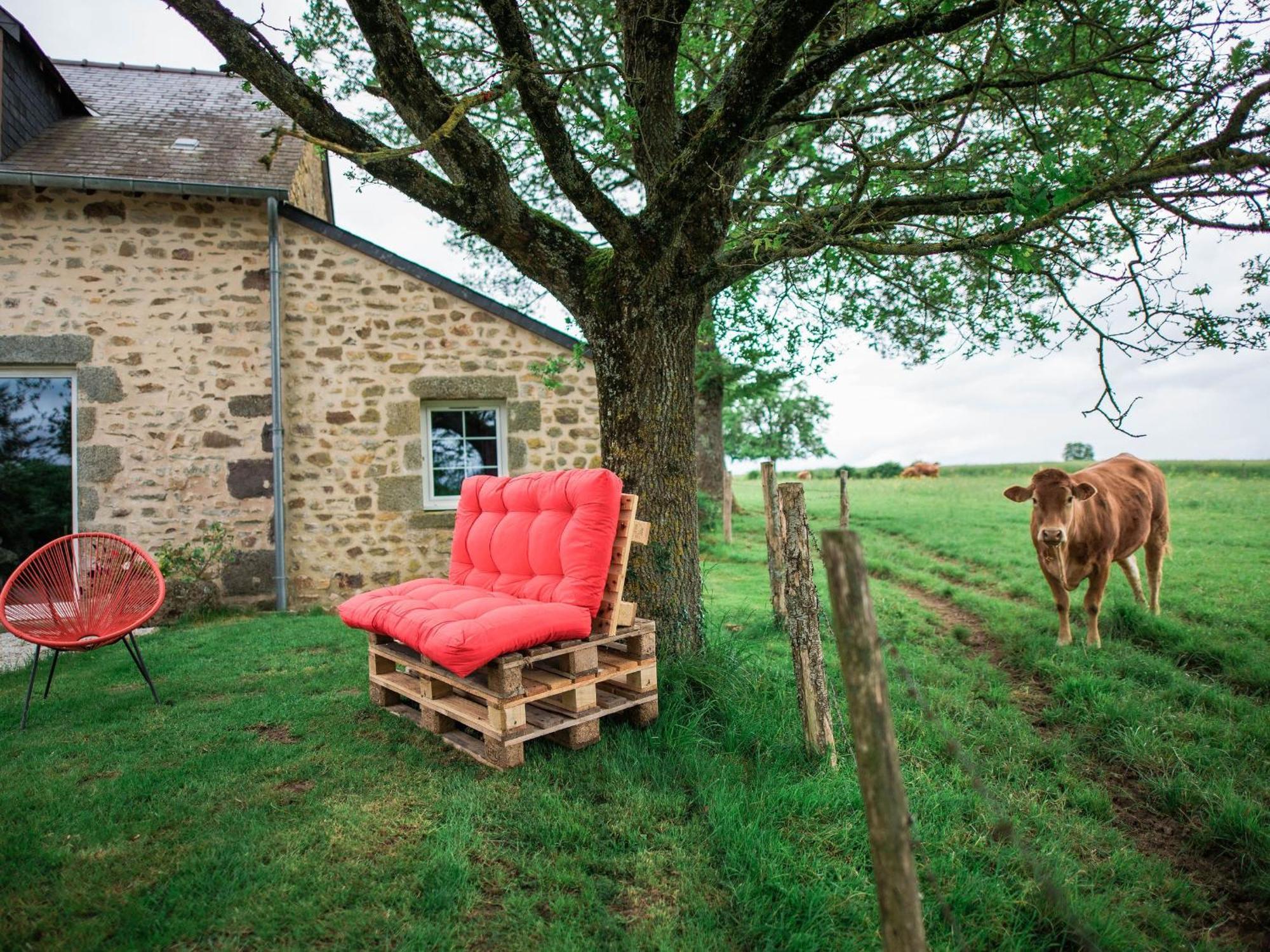 Gite De Charme Renove Avec Cheminee, Terrasse Et Proche Randonnees - Capacite 13 Pers. - Fr-1-410-179 Saint-Léonard-des-Bois Eksteriør billede